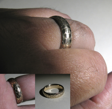 Snake skin band - 14K gold